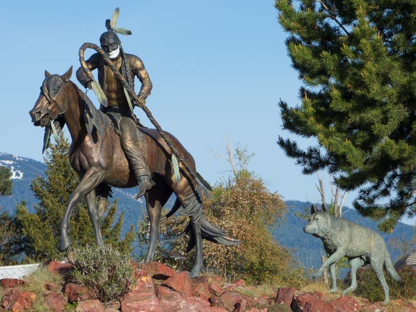 j shirly bothum-tracking the intruders