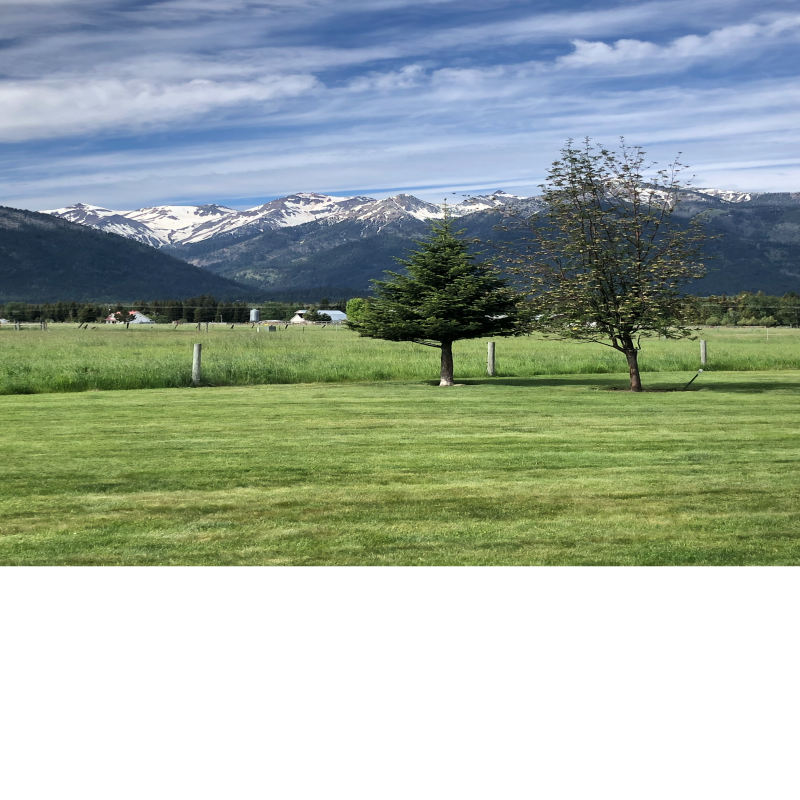 Little Ranch Bed and Breakfast