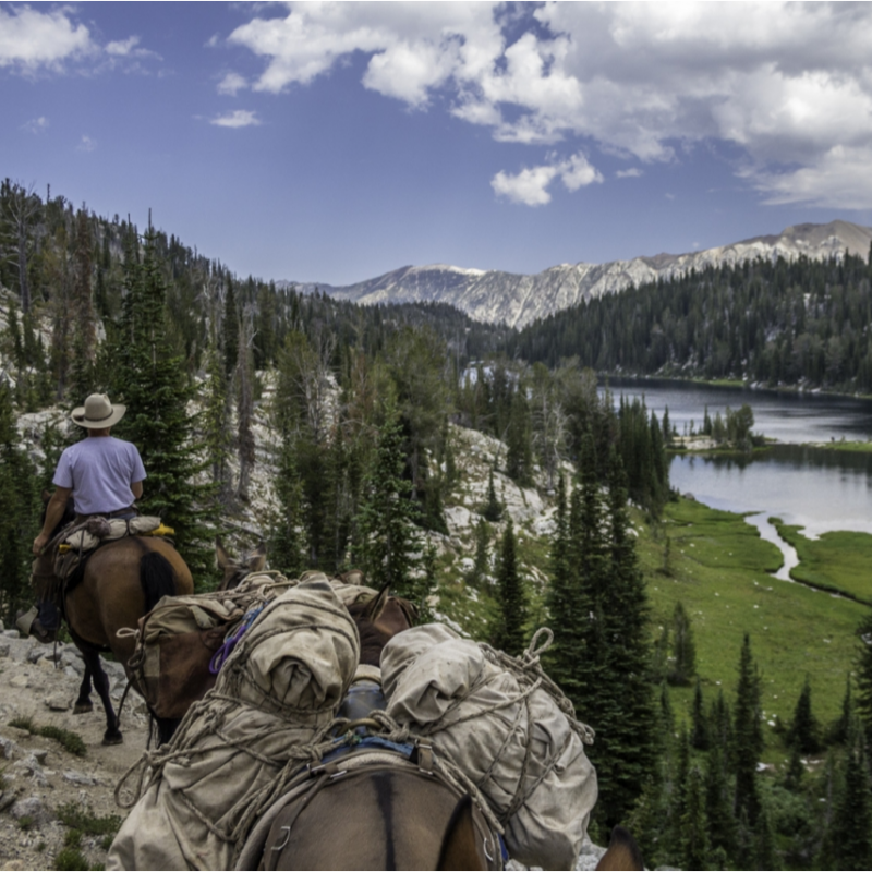 Del Sol Wilderness Adventures